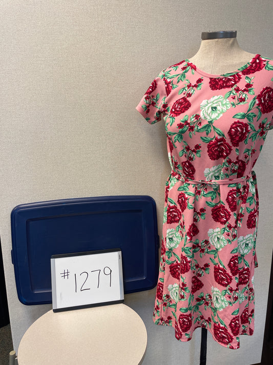 1279-Asian Dress