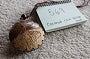 Coconut Coin Purse