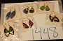 1448-Handmade Earrings