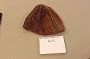 610-Knitted Hat