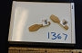 Scoop Spoon 3.5"