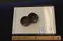 1469-Wooden Sauce/Trinket Dish 2.5"