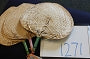 1271-Woven fan